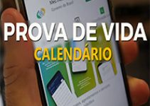 Prova de Vida INSS 2022